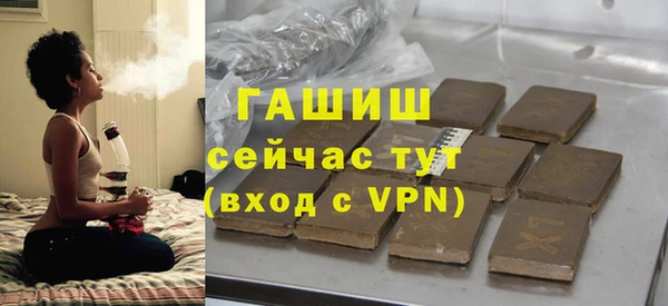 индика Белокуриха