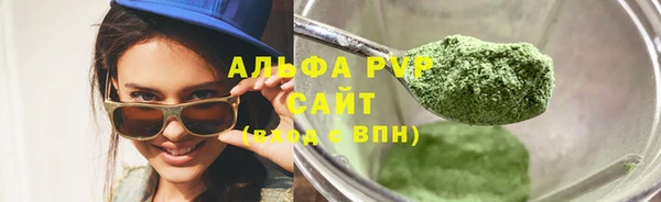 индика Белокуриха