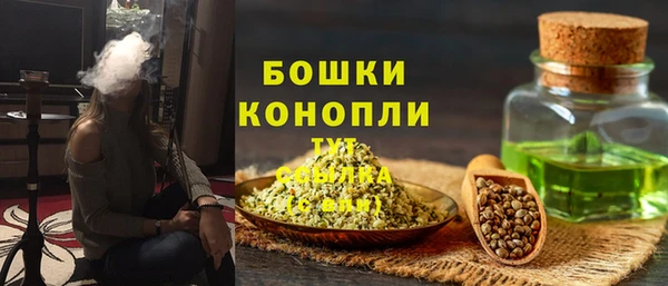 дурь Богородицк