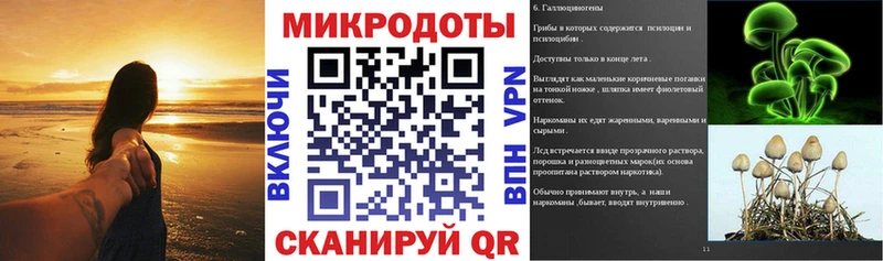 Галлюциногенные грибы ЛСД  блэк спрут ссылки  Отрадная 